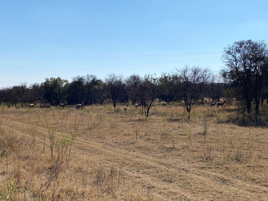 5 Bedroom Property for Sale in Koster North West